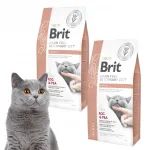 BRIT Renal veterinaarne kuiv kassitoit, 2 x 5 kg