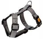 Koerte rakmed Dingo Guard, kaheastmelise rihmaga, 3 cm, suurus L, hallid