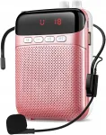 Kaasaskantav 10W h&auml;&auml;lev&otilde;imendi mikrofoniga, MP3, TF, USB, AUX