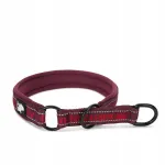 Poolpingutav koera kaelarihm Truelove Bullmastiff, XXXL