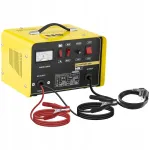 Voldik juhtmetega Quick Start 30A 12V/24V