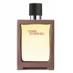 Meeste tualettvesi HERMES Terre D'Hermes EDT