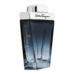 Meestele SALVATORE FERRAGAMO Subtil Pour Homme EDT 100 ml