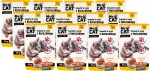 MR. CAT niiske kassitoit kanaga, 100 g