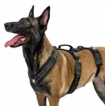 Koera rakmed HOUNDLOCK suurusele L
