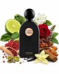 Fariis ONYX aromaatne l&otilde;hnavesi EDP 100 ml