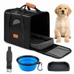 V&auml;ike koerte transpordikott akna ja kokkupandava kausiga, hall