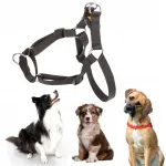 Reguleeritavad koerarihmad EASY WALK, mustad, 1,6 cm, 48&ndash;64 cm