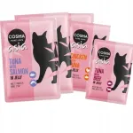 Cosma Asia kassitoit, erinevad maitsed, 6 x 100 g, Saksamaa