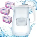 Aquaphor Onyx WHITE 4.2 l veefilter 3 MG Maxfor kassettidega