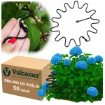 Mustad klambrid diameetriga 8 mm hortensiatele, 50 tk