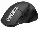 Juhtmevaba ergonoomiline hiir Tracer Ofis X, USB, BT, 2.4 GHz