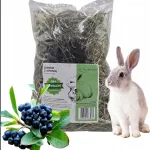Hein lodjapuu oksaga k&uuml;&uuml;likutele ja n&auml;rilistele, 300 g