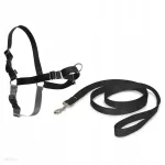 Koerte rakmed koos rihmaga PetSafe Easy Walk, mustad, suurus M