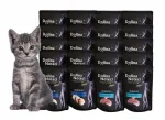M&auml;rg kassitoit DOLINA NOTECI PREMIUM JUNIOR, 20 x 85 g