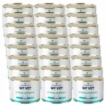 WF VET h&uuml;poallergeenne kassitoit sealiha sisaldusega, 24 x 200 g