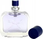 Puma sync Man meeste tualettvesi 25 ml
