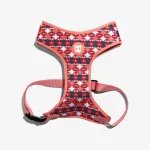 Koera rakmed Zee Dog Air Mesh, XS