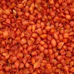 Kuivatatud porgandikr&otilde;binad, 500 g, Champ toit j&auml;nestele ja siga&otilde;uele