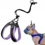 Koera valjad TRE PONTI, violetsed, 38&ndash;48 cm, Jack Russell