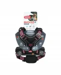 Koera rakmed BIVOUAK XS, punased