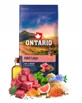 Kuiv koeratoit ONATRIO Adult Large veise- ja pruunide riisidega, 12 kg