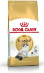 Kuivtoit kassidele Royal Canin Ragdoll, 1 kg