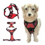 Koera kaelarihm DOG GUARD NELSON-X SALLY, survet mittetekkiv, XL