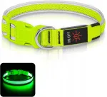 LED-valgustusega koera kaelarihm, USB, veekindel, reguleeritav, M suurus