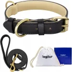Nahast reguleeritav koera kaelarihm rihmaga, must, 43&ndash;53 cm, L suurus