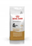 Kuivtoit t&auml;iskasvanud Maine Coon kassidele Royal Canin, 13 kg