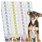 Konservtoit koertele Brit Care Mini Pouch 40x85 g v&auml;ikestele t&otilde;ugudele