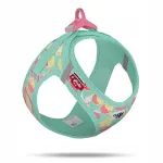 Koera rakmed Curli Clasp Air Mesh Juicy Fruits, t&uuml;rkiissinises, 3XS
