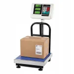 Elektroonilised platvormkaalud 100kg 30x40cm