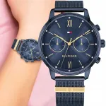 Naiste kell Tommy Hilfiger 1782305 Blake