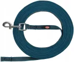 Trixie 5 m 17 mm suurusele L-XL koerale kummist treeningrihm