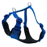 Koera rakmed pehme voodriga, suurus M, 45&ndash;55 cm, sinised