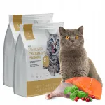 Kuivtoit kassidele l&otilde;he ja kanaga, teraviljavaba, t&auml;iskasvanud kassidele, 2x2 kg, 1CAT