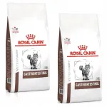 Royal Canin Veterinary Feline Gastrointestinal kuivtoit kassidele, 2 x 4 kg