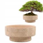 Bonsai lillepott 25 cm, lame, suur, liivakarva, boho stiilis, betoonist