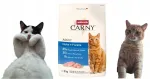 Animonda Carny Adult kuivtoit kana ja forelliga, 10 kg