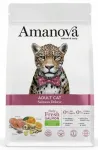 Kuivtoit kassidele Amanova Cat Adult Salmon Deluxe l&otilde;hega, 6 kg