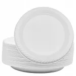 Korduvkasutatavad plasttaldrikud 22 cm, valged, 100 tk