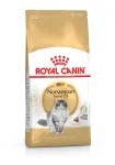 Kuivtoit kassidele ROYAL CANIN Norwegian Forest Cat Adult, 2 x 2 kg