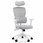 Ergonoomiline hall kontoritool reguleeritava seljatoega