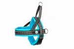 Koerte rakmed ALL FOR DOGS Classic Norwegian, M suurus, 50