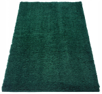 Roheline plush-vaip 60x100 cm, magamis- ja elutuppa