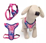 Koera ja kassi rakmed COOCKY GUARD, M suurus, STITCH mustriga