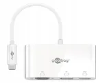 USB-C adapter VGA, DisplayPort ja HDMI-ga, Goobay, valge