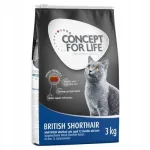 Concept for Life kuiv toit kassidele British Shorthair Adult, 3 x 3 kg